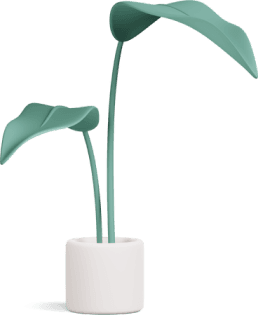 plant.png