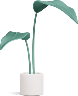 plant.png plant.png